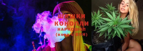 твердый Цоци-Юрт