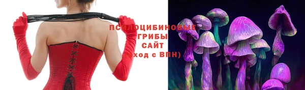 PSILOCYBIN Богородск