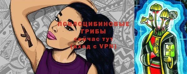 гидра Щёлкино