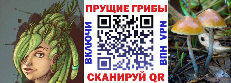 Псилоцибиновые грибы мухоморы Горнозаводск