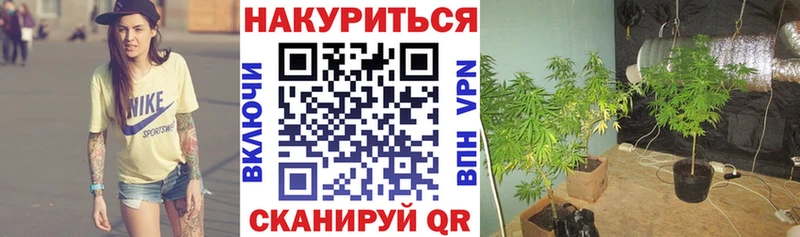 Бошки марихуана марихуана Горнозаводск